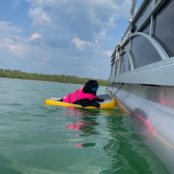 Meet your Posher - Picture 1 of 1